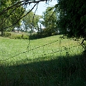 Scenery Montville Duchek 6594